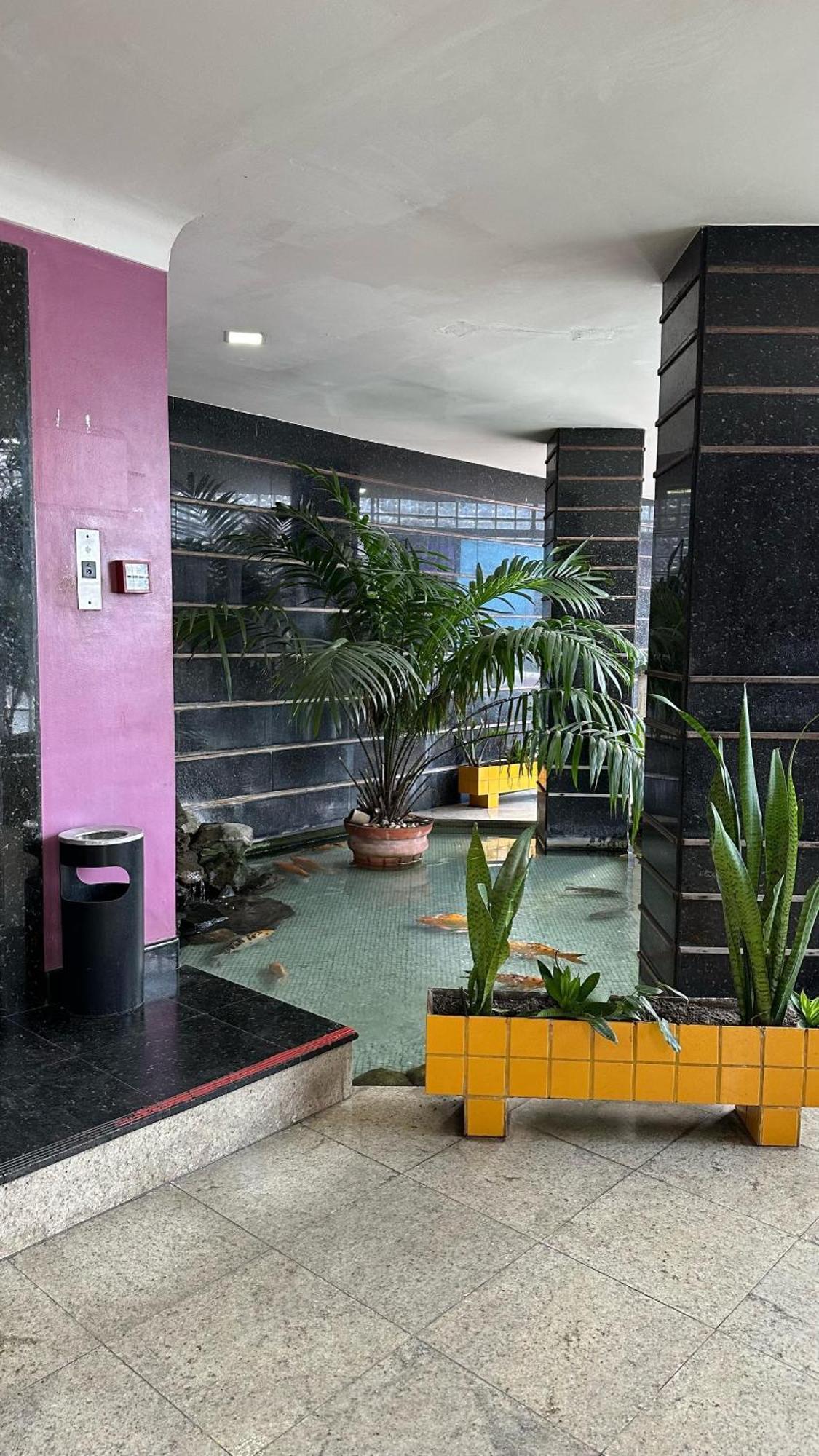 Novo Plano Salvador